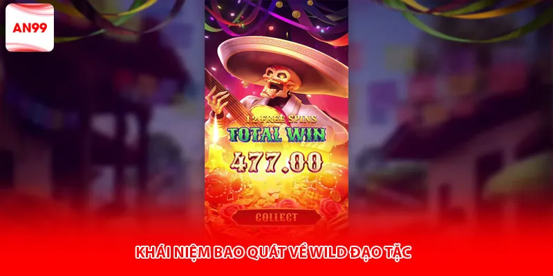 Khái niệm bao quát về wild đạo tặc